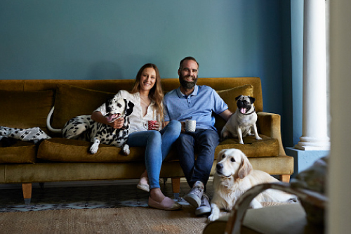 Couple on couch with 3 dogs
